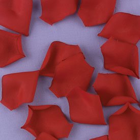100 Rose Flower Petals Wedding Decorations - In White, Ivory, Red, Pink, and Lavander