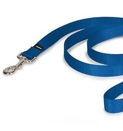 New Petsafe/Premier 3/8 Inch Wide Royal Blue Nylon Leash