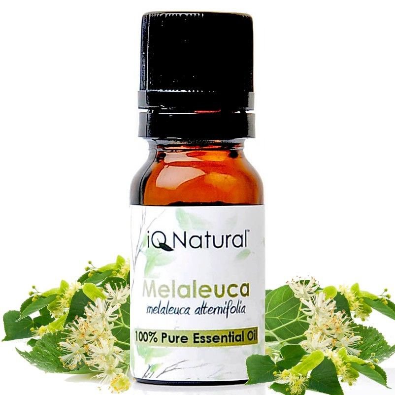 Essential Oil: Melaleuca (Melaleuca alternifolia) -- 100% Pure Uncut 5ml