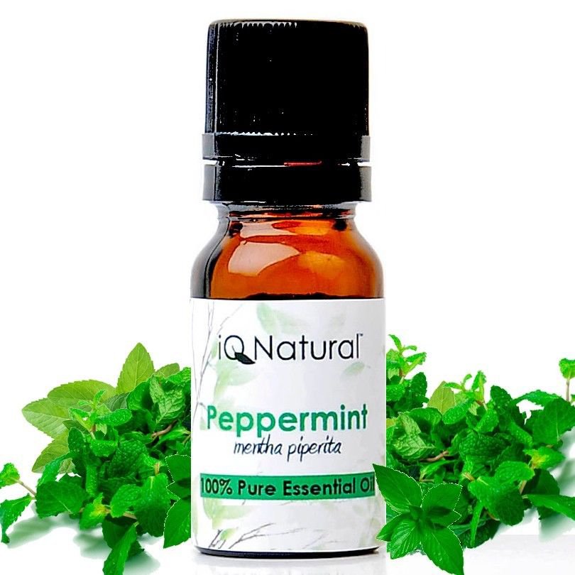 Essential Oil: Peppermint (Mentha piperita) - 100% Pure Uncut 5ml