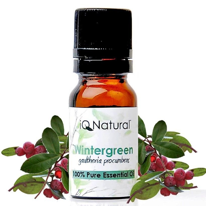 Essential Oil: Wintergreen (Gaultheria procumbens) -- 100% Pure Uncut 5ml