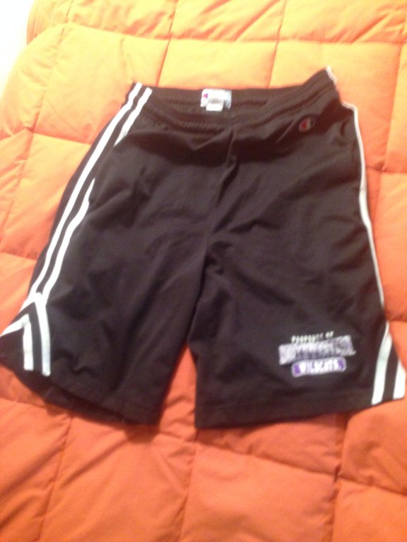 Champion northwestern university gym shorts size M