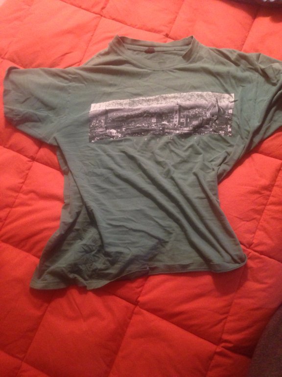 Firenze panoramic green souvenir t-shirt