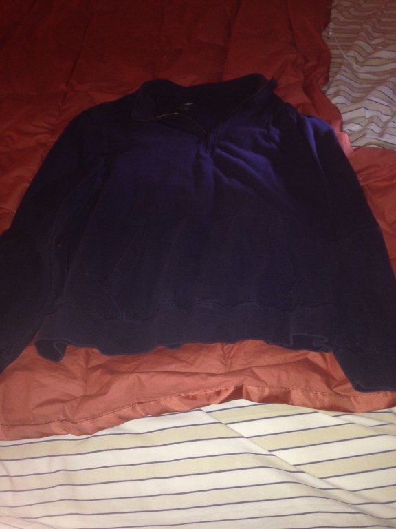 Jcrew blue sweatshirt size L