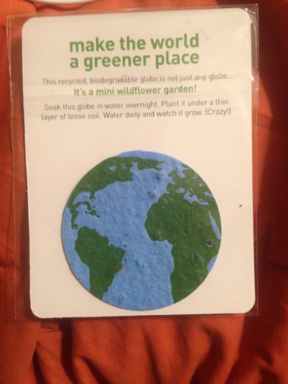 Zipcar globe keychain ornament