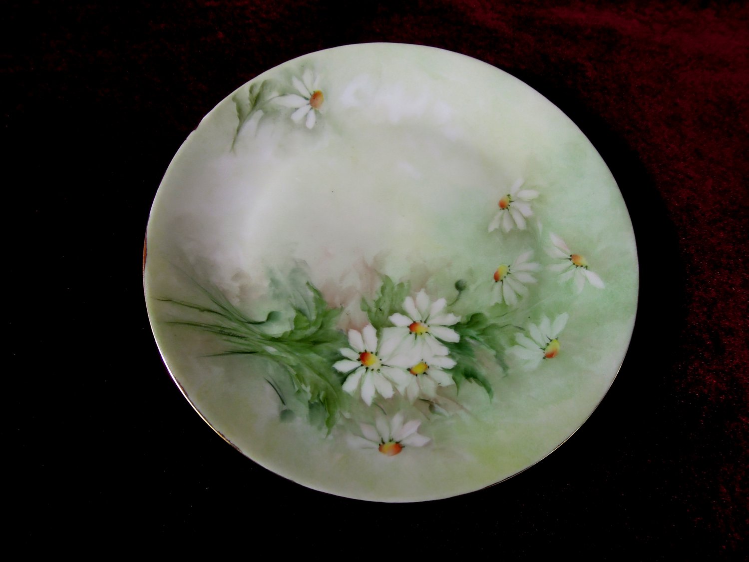 Hutschenreuther Gelb LHS China Floral Bavaria Germany