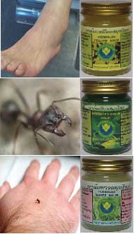 Herbal Remedy Balm
