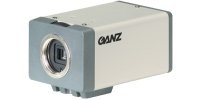 GANZ