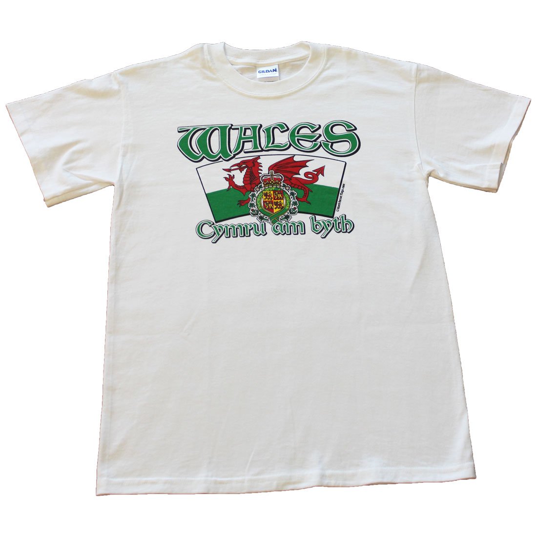 Wales International T-Shirt (L)