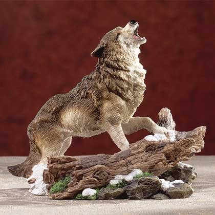 Howling Wolf On Snow