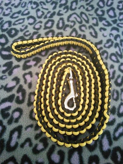 Yellow/Black leash