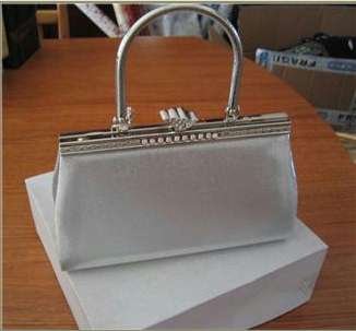 Silver Handbag