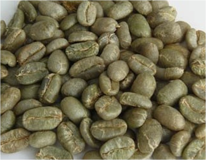 luwak coffee aceh gayo 1kg greenbean unroast luwak coffee aceh gayo 1kg greenbean unroast