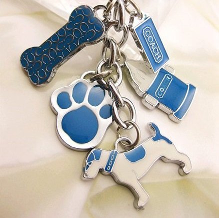 Dog Bone Icecream Footprint Mix Key Chain Key Ring Charm Fob
