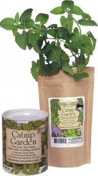 Catnip Garden