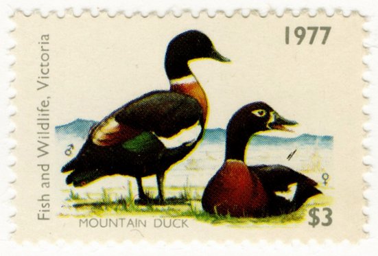 (I.B) Australia - Victoria Revenue : Hunting Tax $3 (1977)