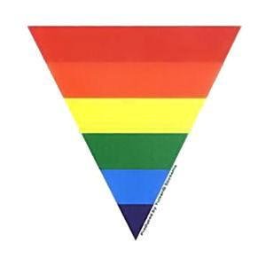 Rainbow Triangle Vinyl Bumper Sticker Gay Pride Lesbian
