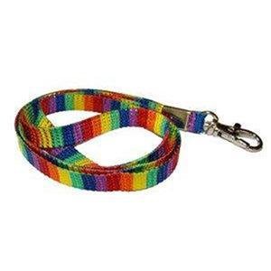 Gay Pride Rainbow Shoelace Lanyard Key Clip Keychain