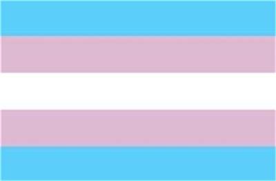 Transgender Flag Sticker 3" x 5" Transgendered Pride