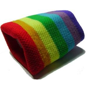 Gay Pride Rainbow Wrist Band Wristband Sweat Lesbian