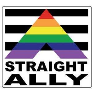 Straight Ally Gay Pride Bumper Sticker