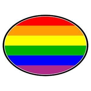 Gay Pride Flag Auto Magnet Euro Rainbow