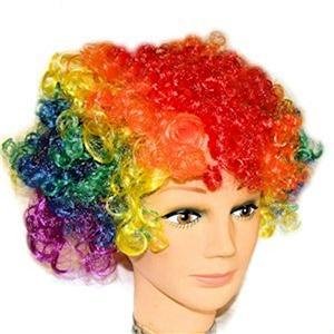 Gay Pride Wig Rainbow Curly Wig Pride Festival Event
