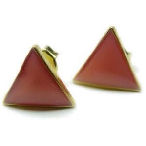 Gay Pride Pink Triangle Enamel Earrings