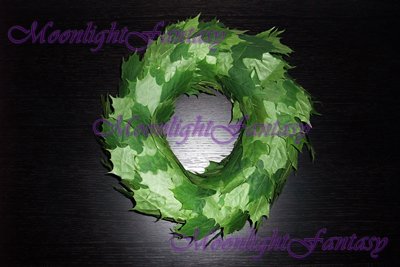 Maple Leaves #1