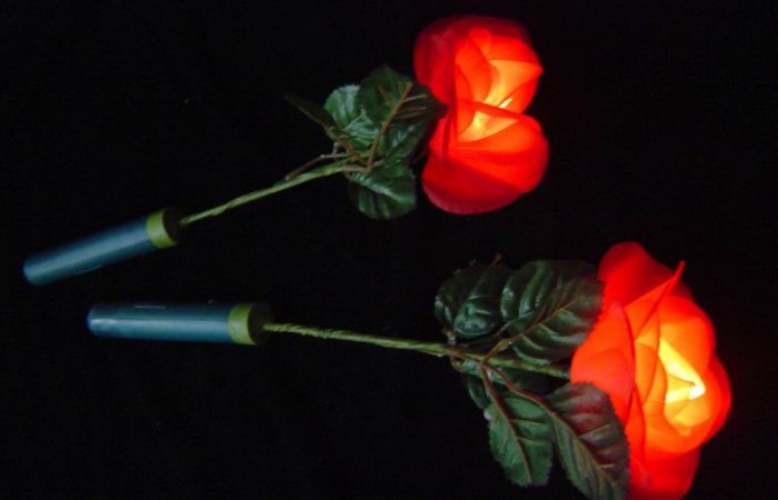 Flash Rose