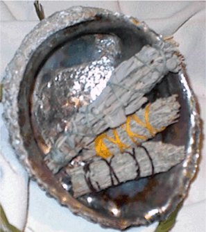 Abalone With White Sage DWP