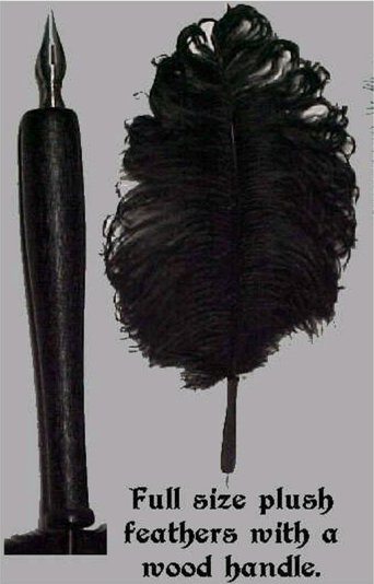 Ostrich Feather Pens sa
