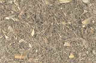 Blessed Thistle 1lb