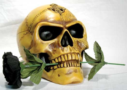 Skull: Alchemist