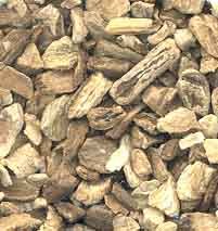 Burdock 1lb