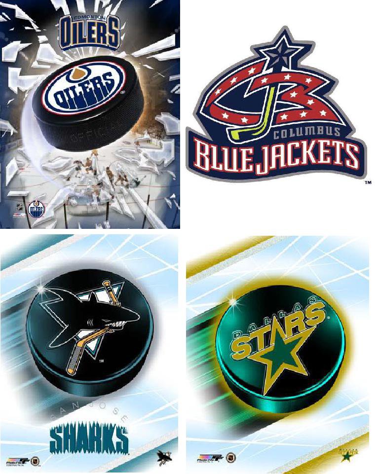 Lot Of 12 Western Hockey NHL Fabric Panel Quilt Squares