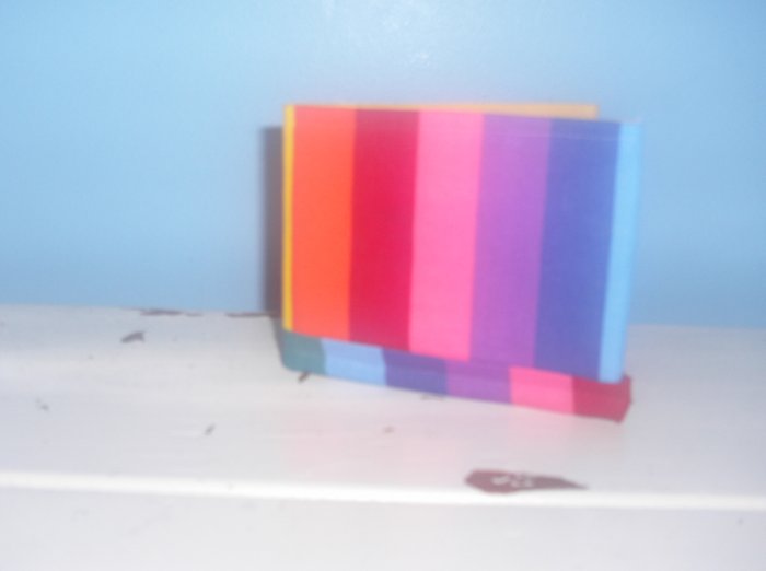 Rainbow Stripe Bi-Fold Wallet