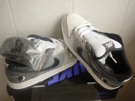 sb dunk lunar west
