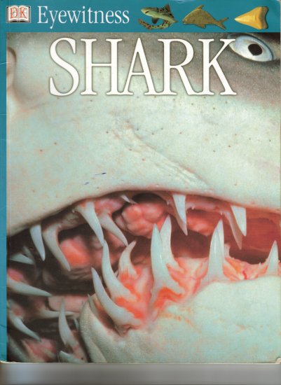 Shark