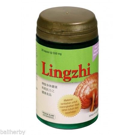 60 indonesian herbs capsules of LINGZHI - Medicinal Mushroom
