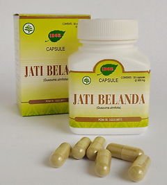 2 x 30 indonesian herb capsules jati belanda bastard cedar leaves for fat loss