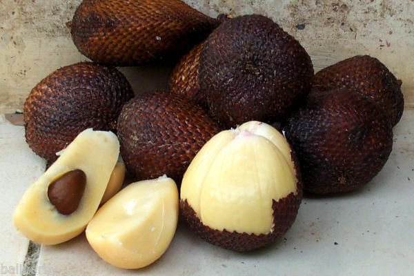 8 pcs Pondoh sweet Snake fruit / salak / Salacca Seeds w/ Worldwide delivery