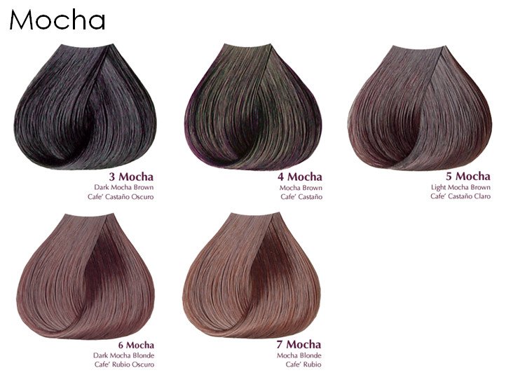 Satin Mocha Series Aloe Vera Based - Hair Color - 3oz - VelvetBlush