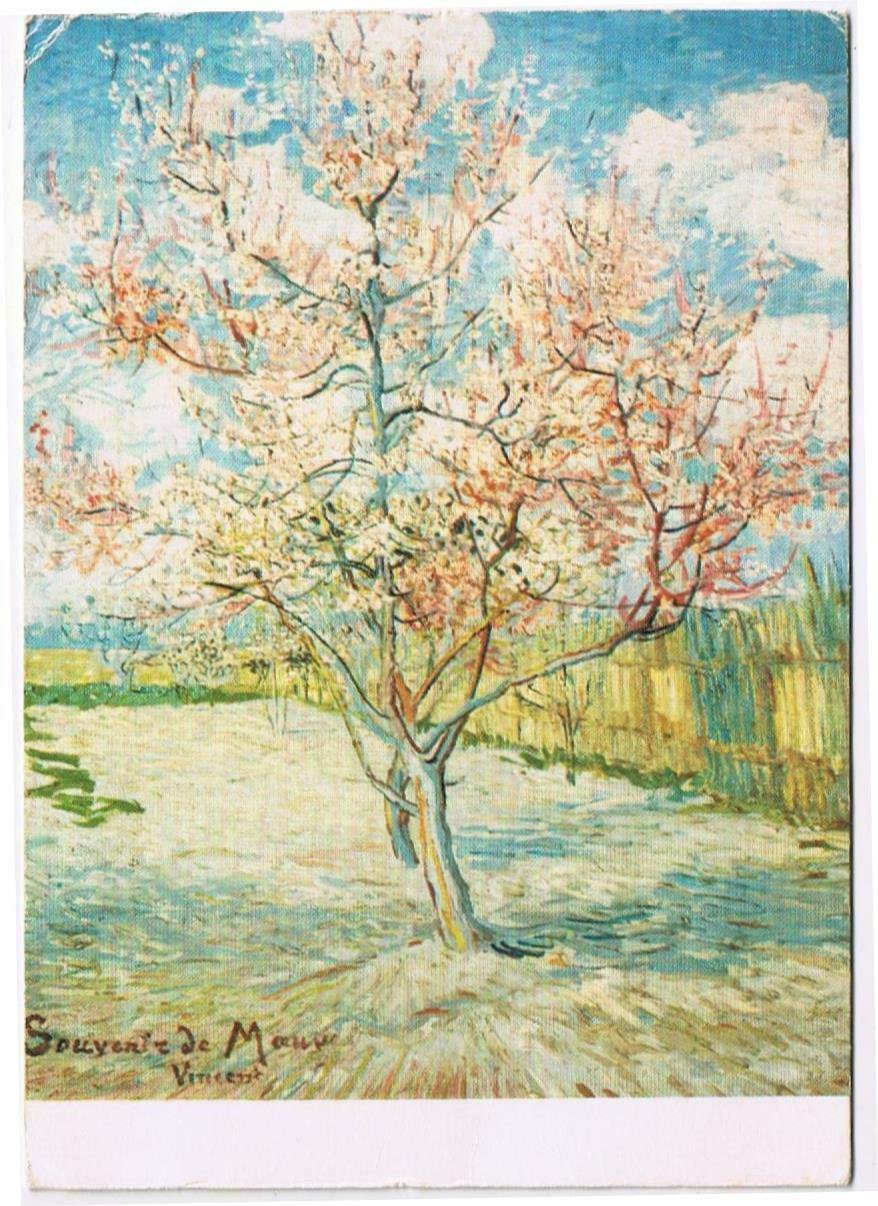 Art Postcard Vincent Van Gogh Tree In Blossom Souvenir De Mauve