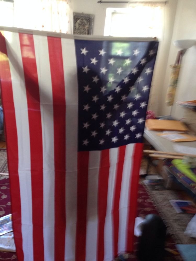 AMERICA AMERICAN FLAG UNITED STATES For Windows Or Back Yard