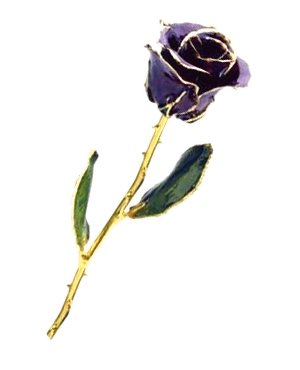 Rose-24Kt Gold-Purple