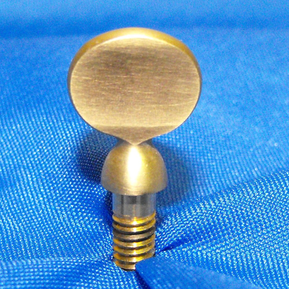 Selmer Paris Reference 54 Alto Saxophone Neck Screw - Vintage Finish