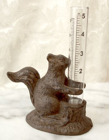 Heavy Cast Iron Squirrel Rain Gauge