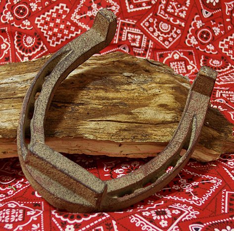 Extra Large Cast Iron Horse Shoe