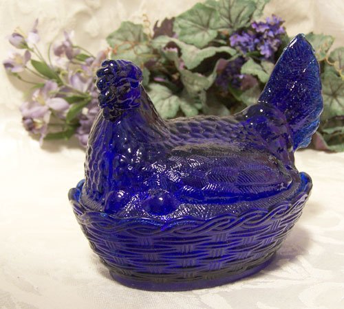 Colbolt Blue Hen on Nest